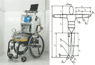 Pictured on the left is a photo of the Anatomical Model Propulsion System (AMPS) seated in a Quickie wheelchair.  To the right is a qualitative diagram of a 16-segment model of the human body.  The comparison of these two images illustrates how the overall anthropomorphic characteristic of the AMPS is motivated by the human anatomy.